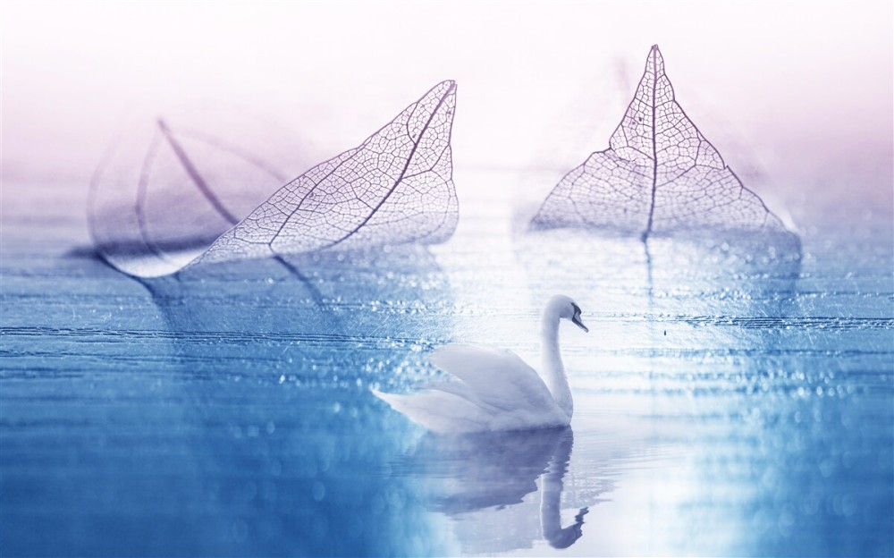 Last Product image