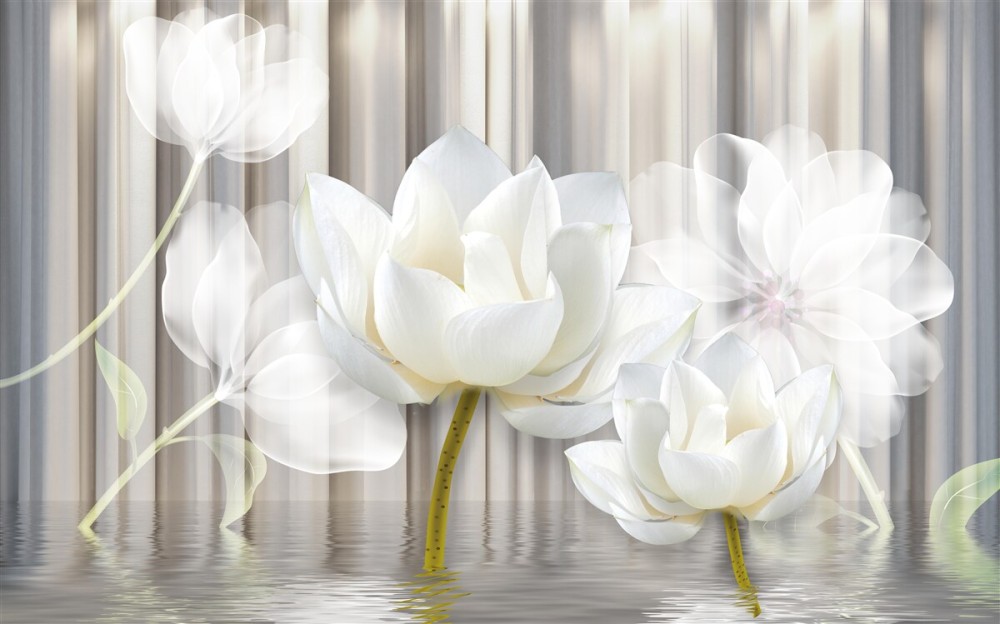 Last Product image