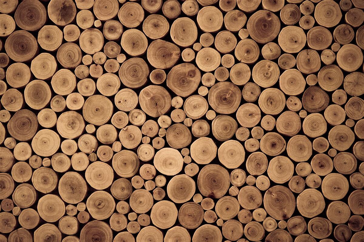 Carta da parati tagliare con cura i tronchi degli alberi