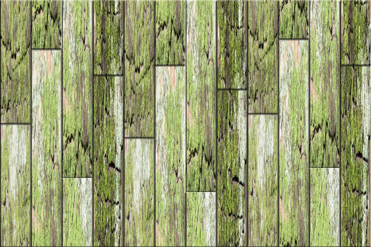 Carta da parati legno antico dipinto