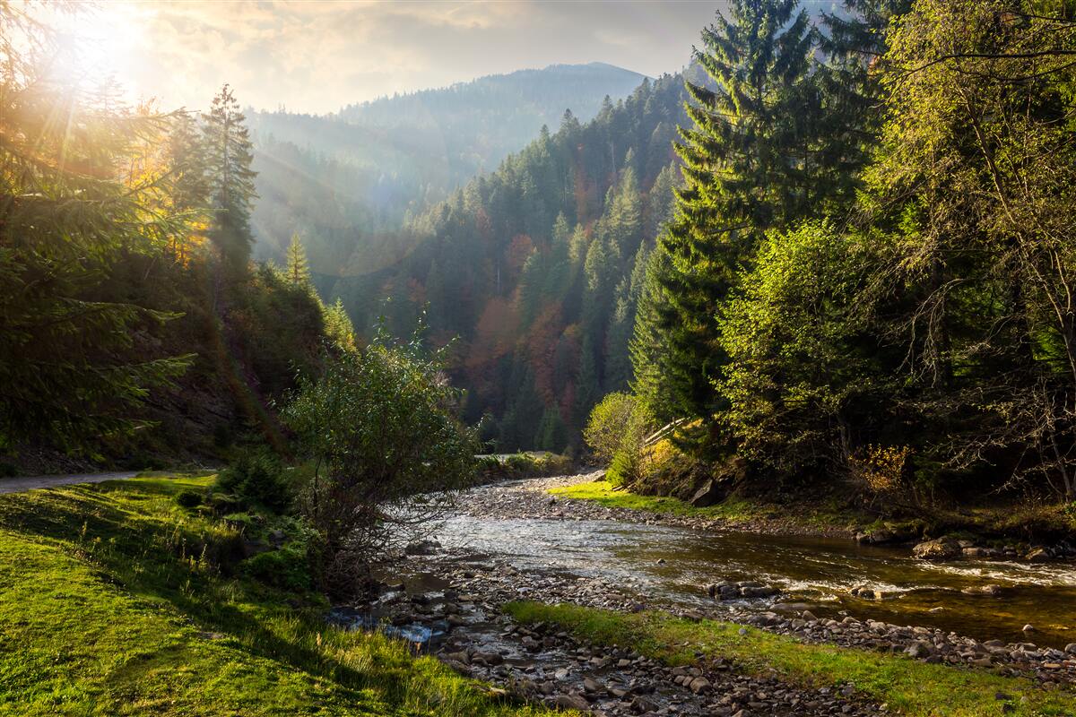 Carta da parati Un colorato sentiero di montagna all'alba