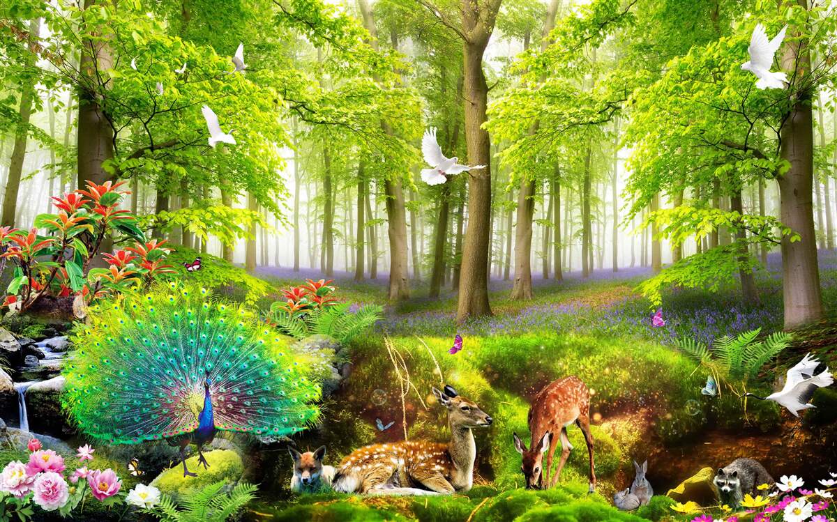 Carta da parati fauna delle verdi foreste estive