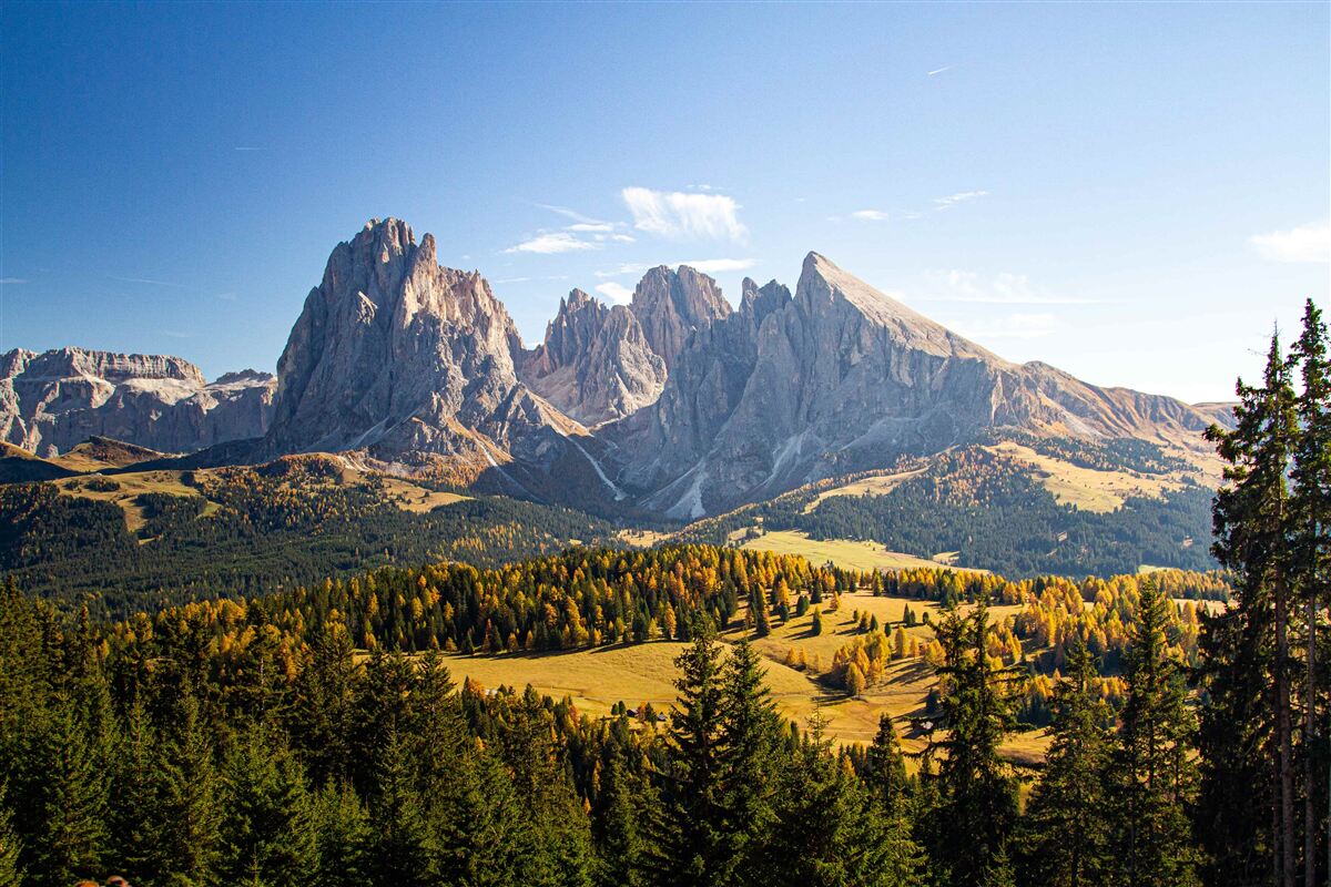 Carta da parati fitta foresta e imponenti montagne del Langkofel