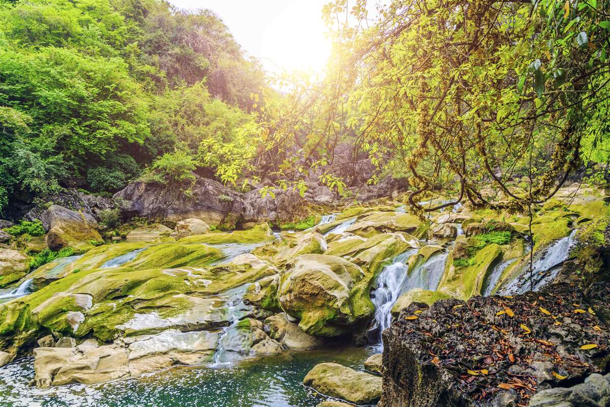 Carta da parati alba sul fiume con la sua natura colorata