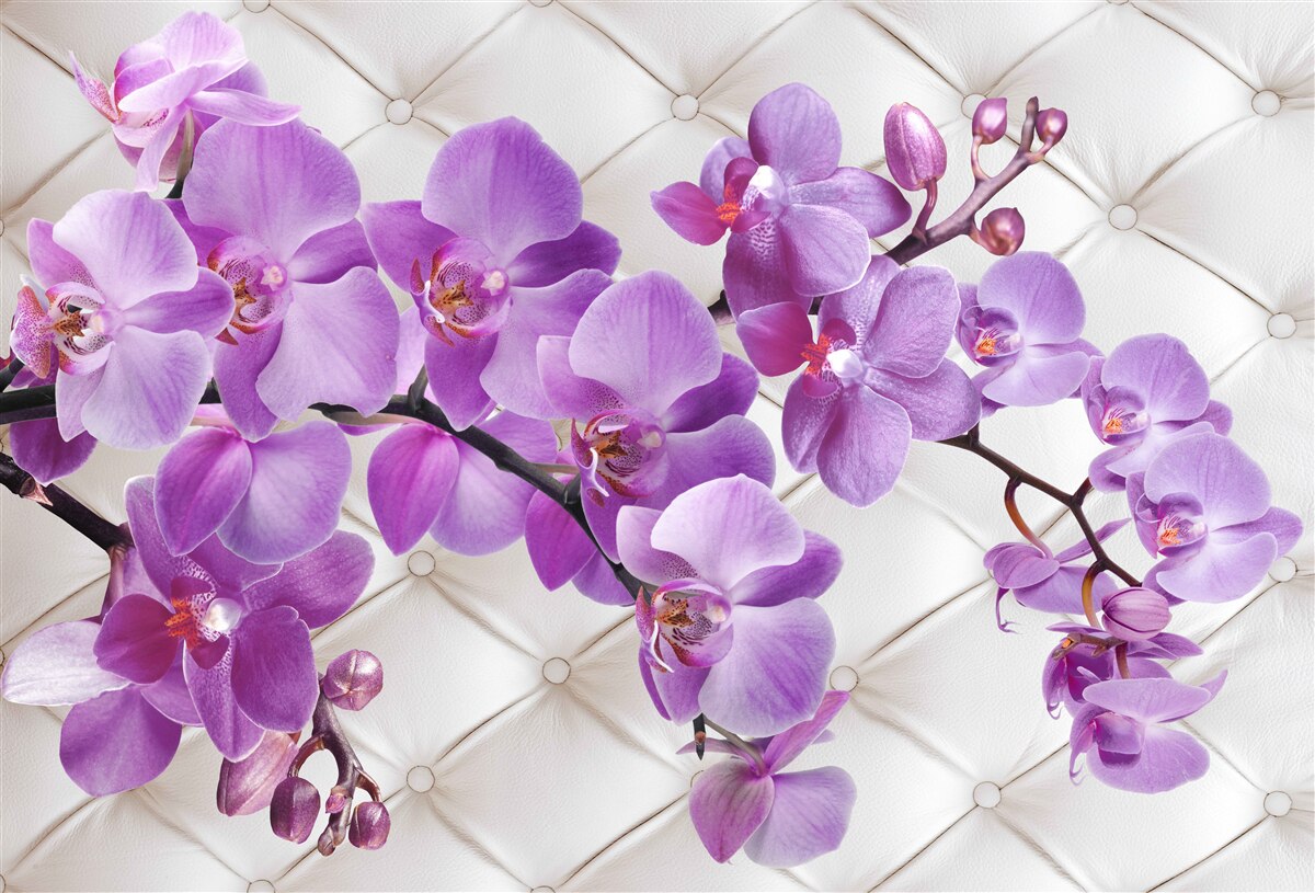 Carta da parati la texture comprende rami di orchidea lilla
