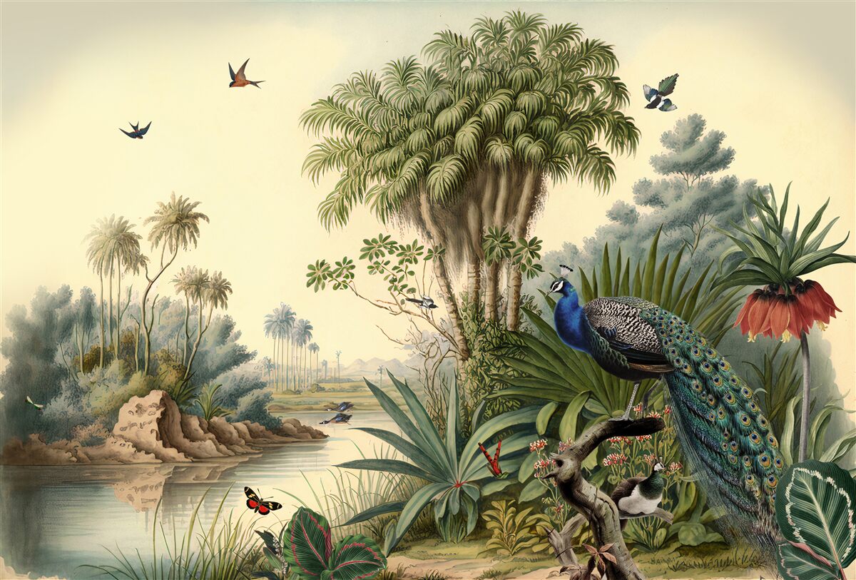 Carta da parati Il pavone nel suo vero habitat