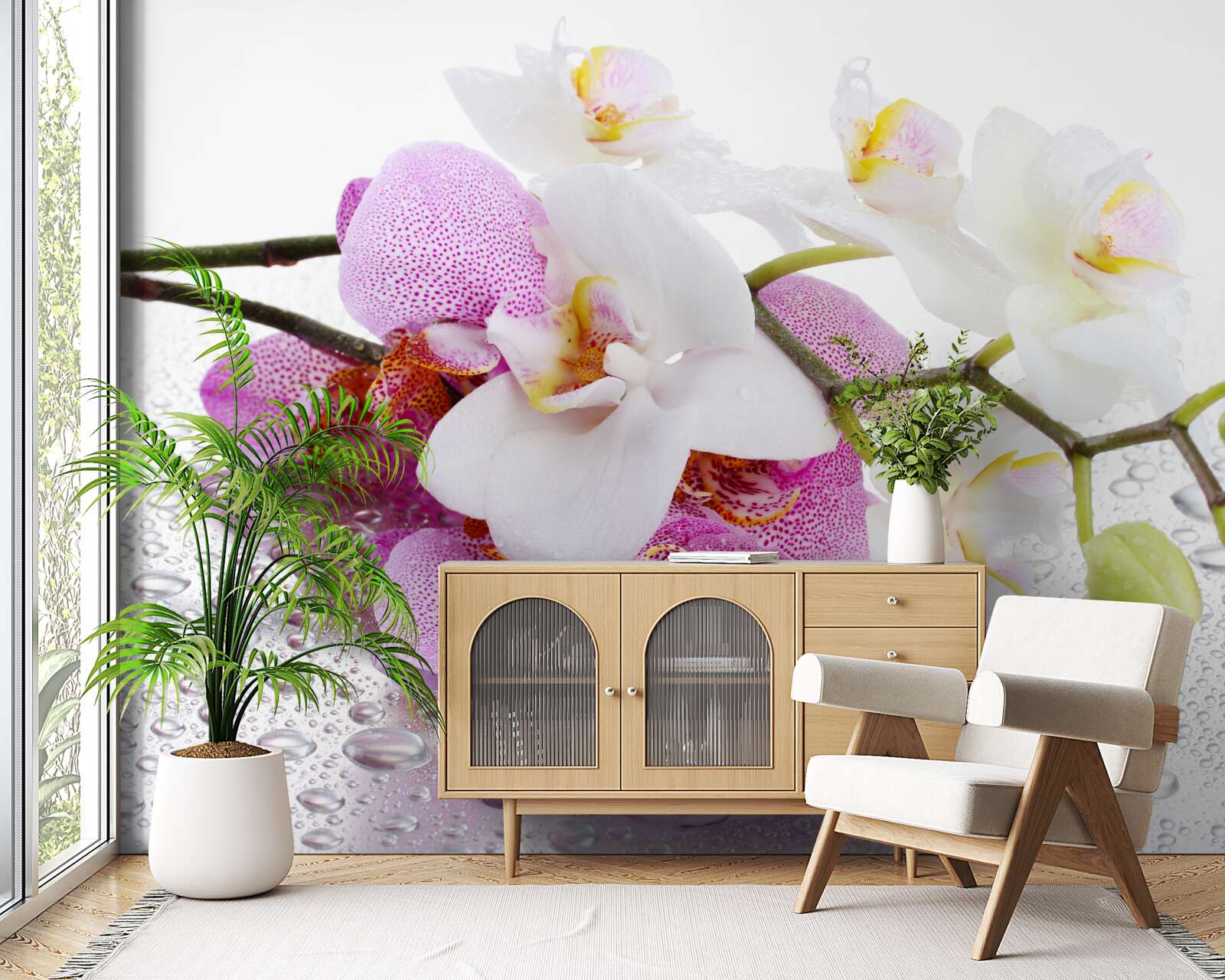 Fototapeta krople rosy na gałęziach białej i liliowej orchidei