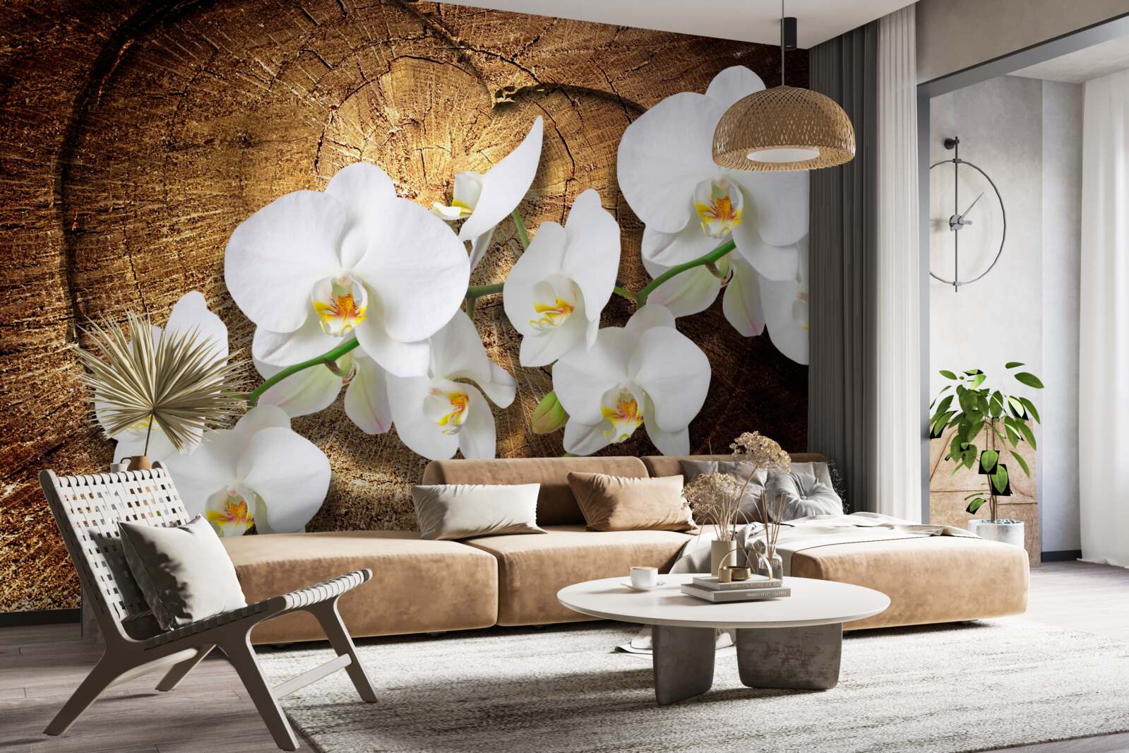 Carta da parati Orchidea bianca come la neve su un tronco d'albero tagliato