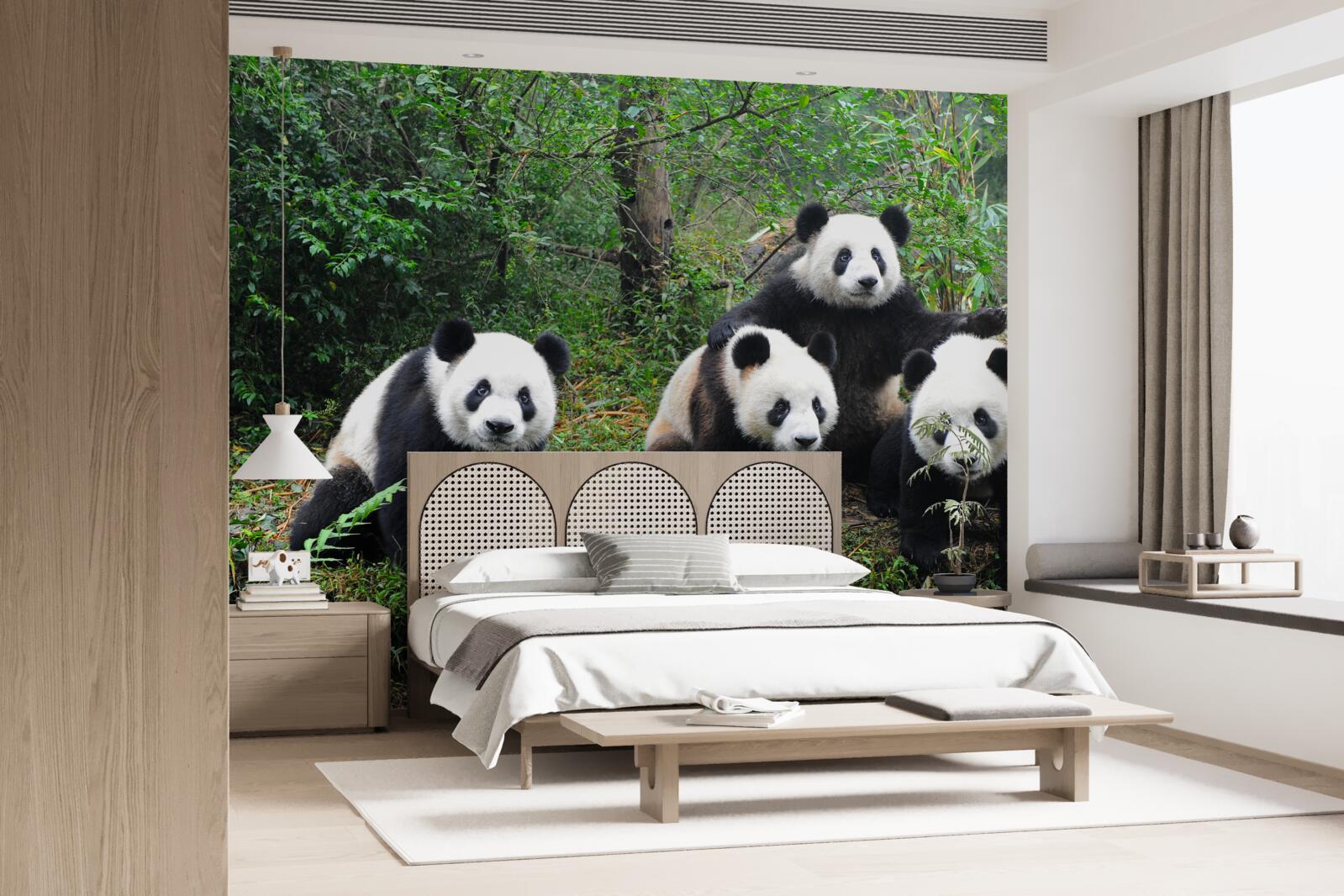 Carta da parati una riposante famiglia di affascinanti panda
