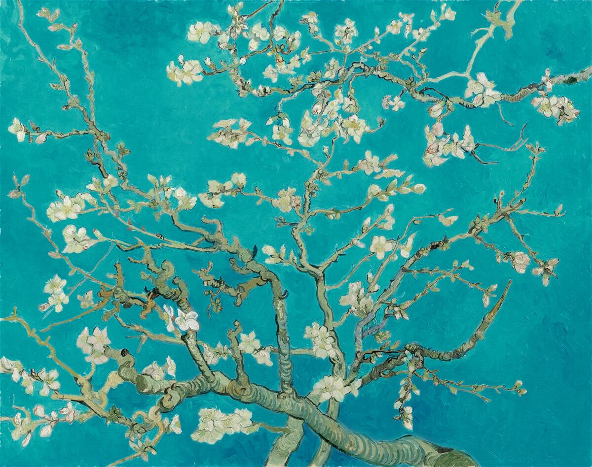 Carta da parati rami di mandorlo in fiore