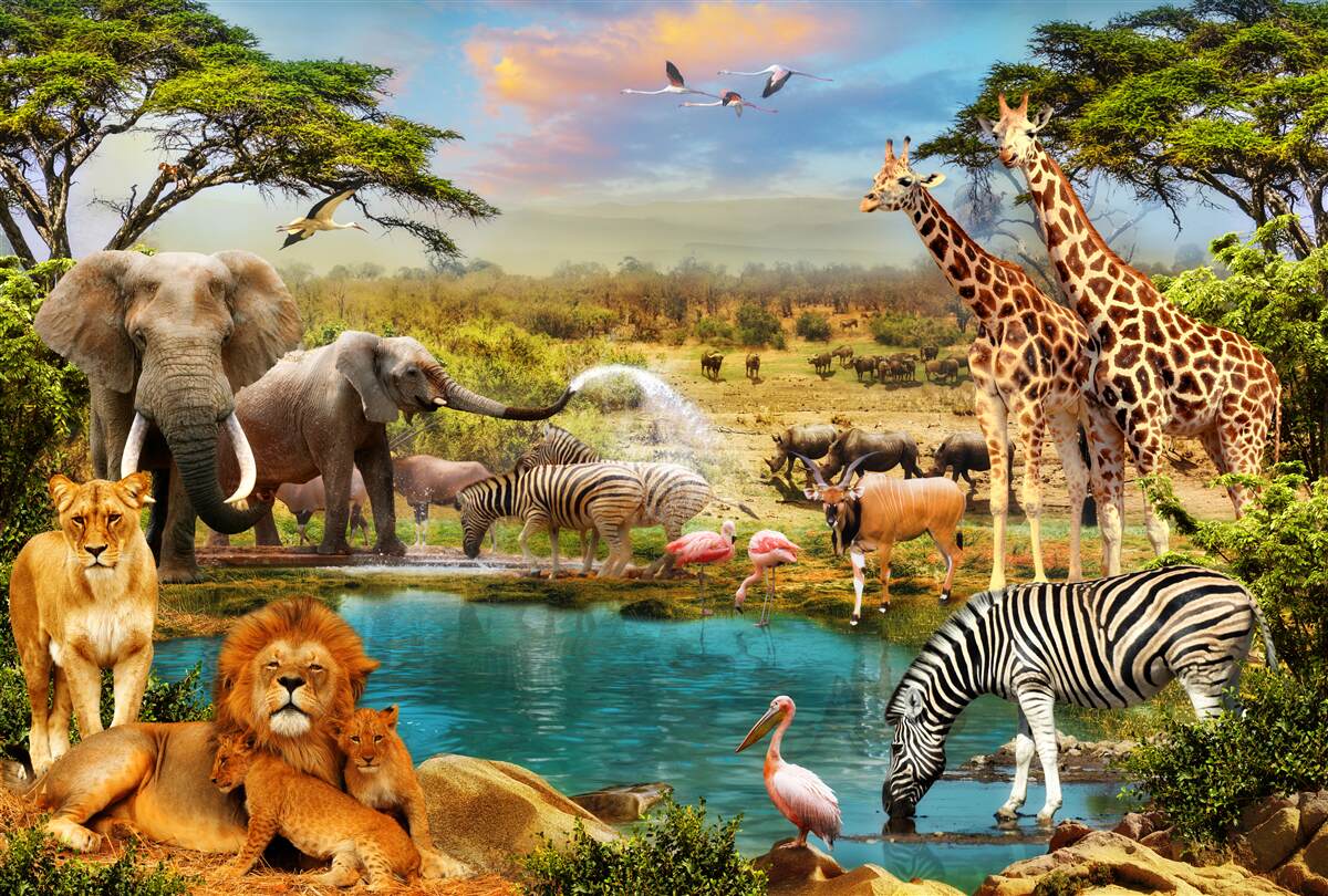 Carta da parati un abbeveratoio con animali africani
