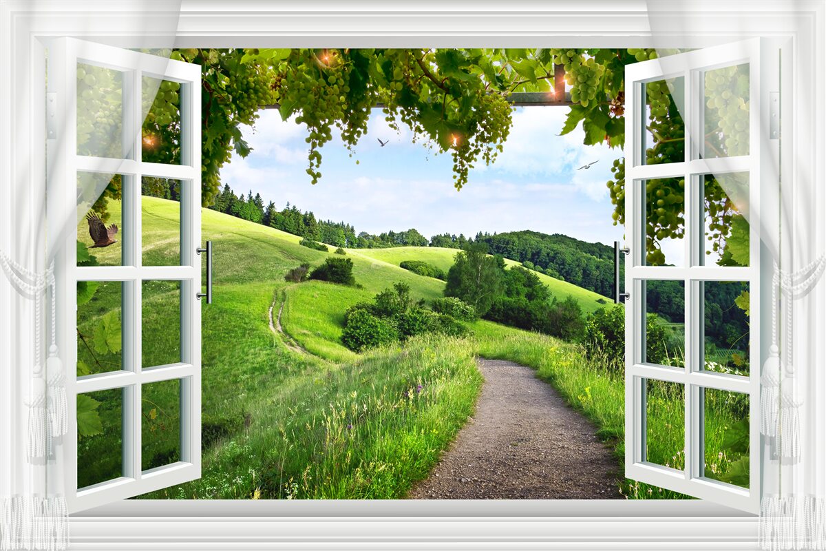 Carta da parati Finestra con vista sul panorama dei prati verdi