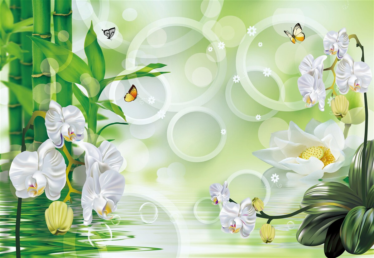 Carta da parati il bambù verde e i fiori si riflettono nell'acqua, circondati da cerchi bianchi