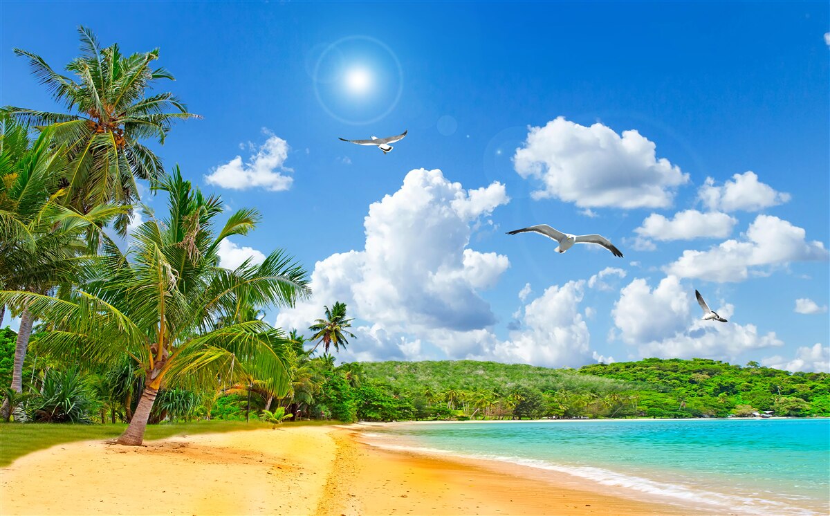 Carta da parati isola tropicale con spiaggia al sole