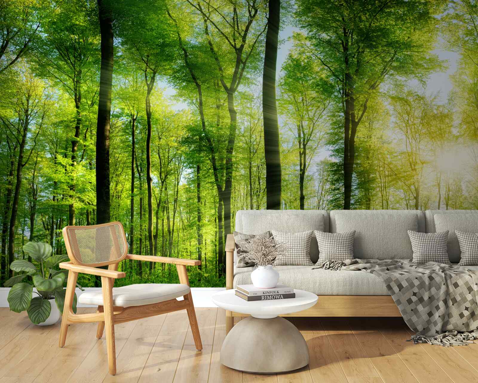 Carta da parati i raggi del sole penetrano le foglie degli alberi