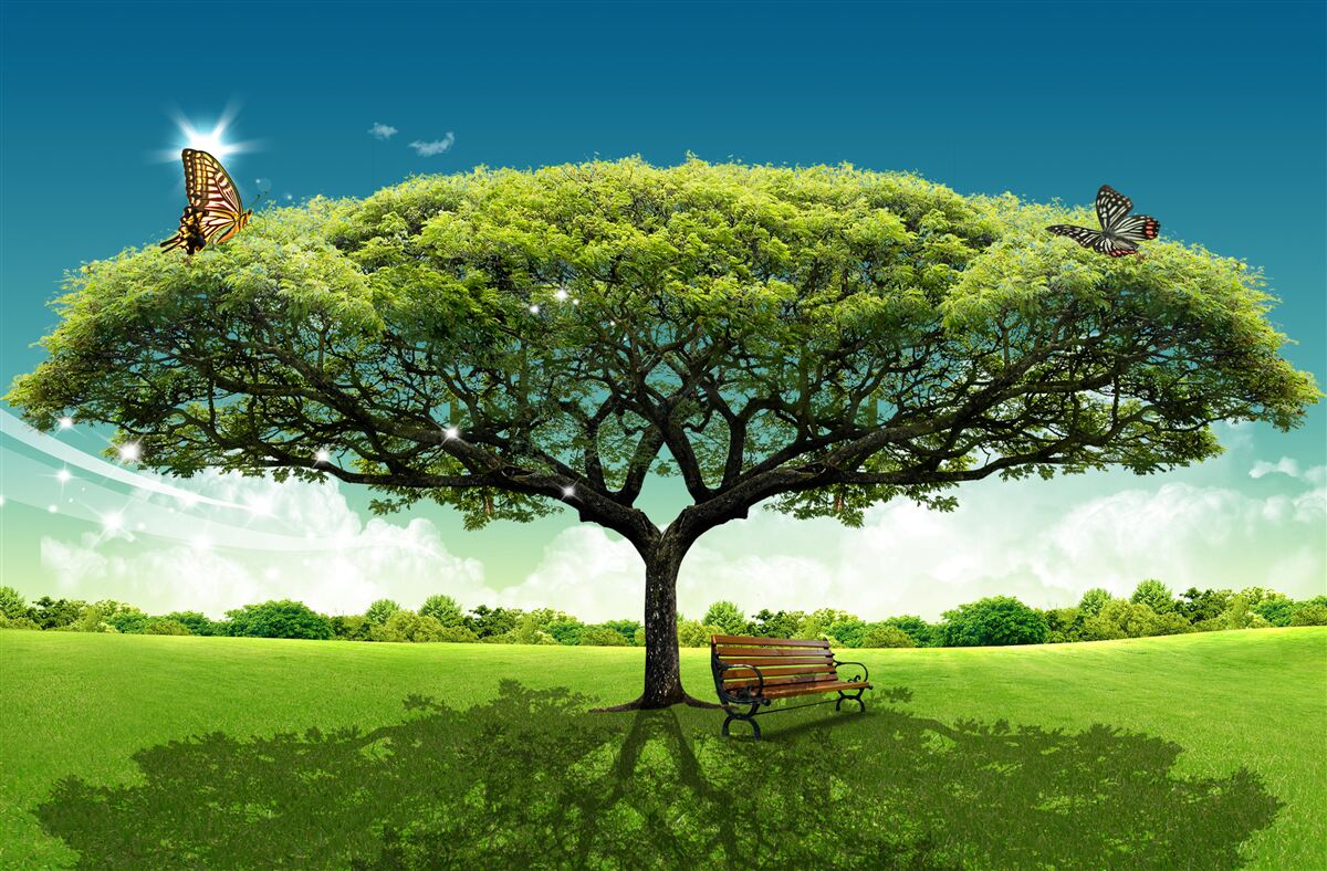 Carta da parati un albero della vita sano vive nella radura