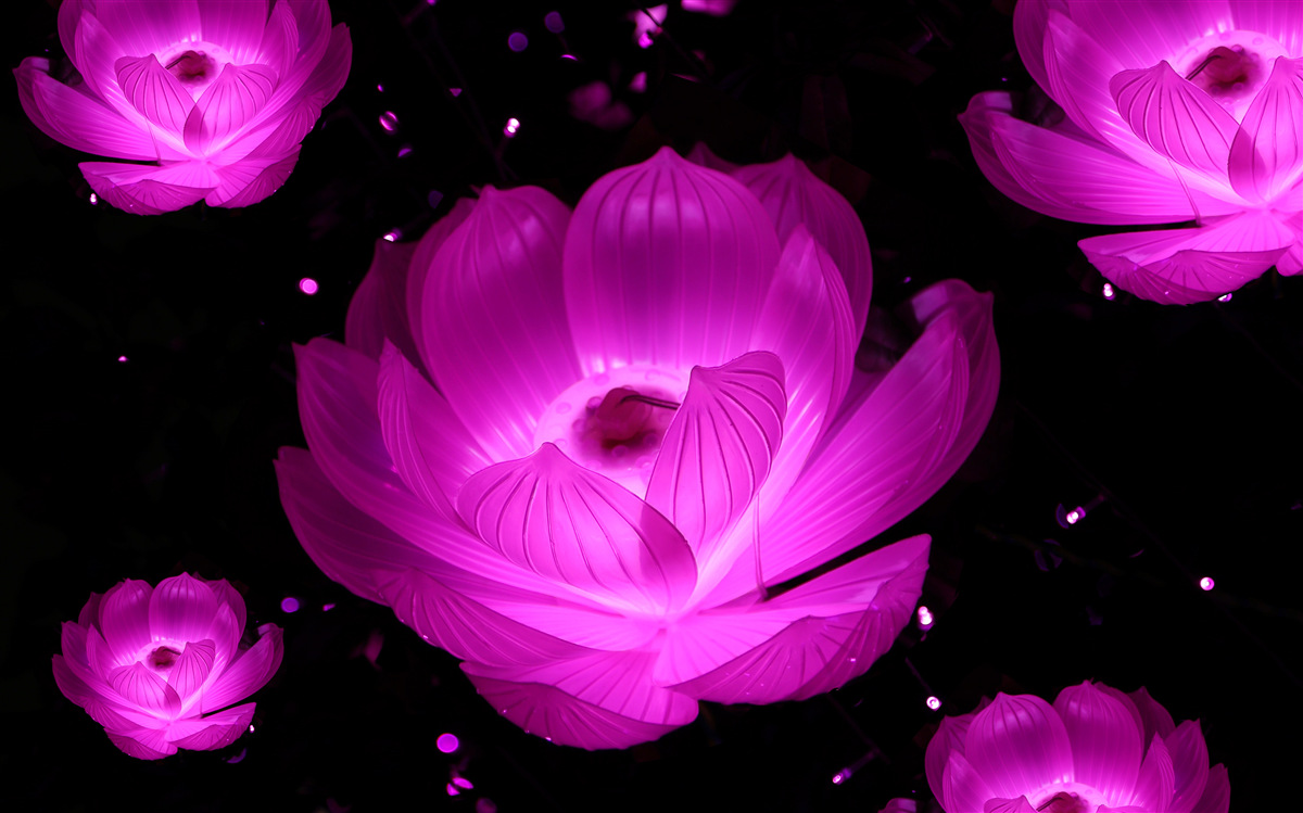Carta da parati fiori viola con luce al neon