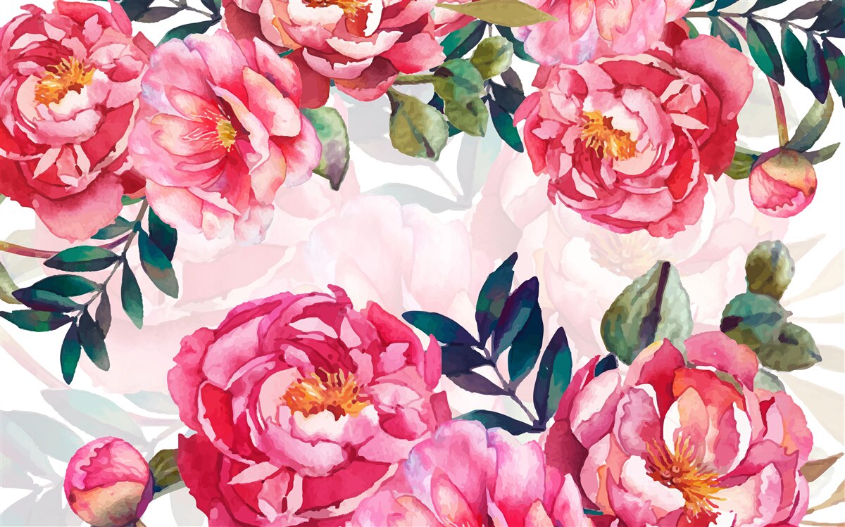 Carta da parati le peonie sono grandi e di colore scarlatto