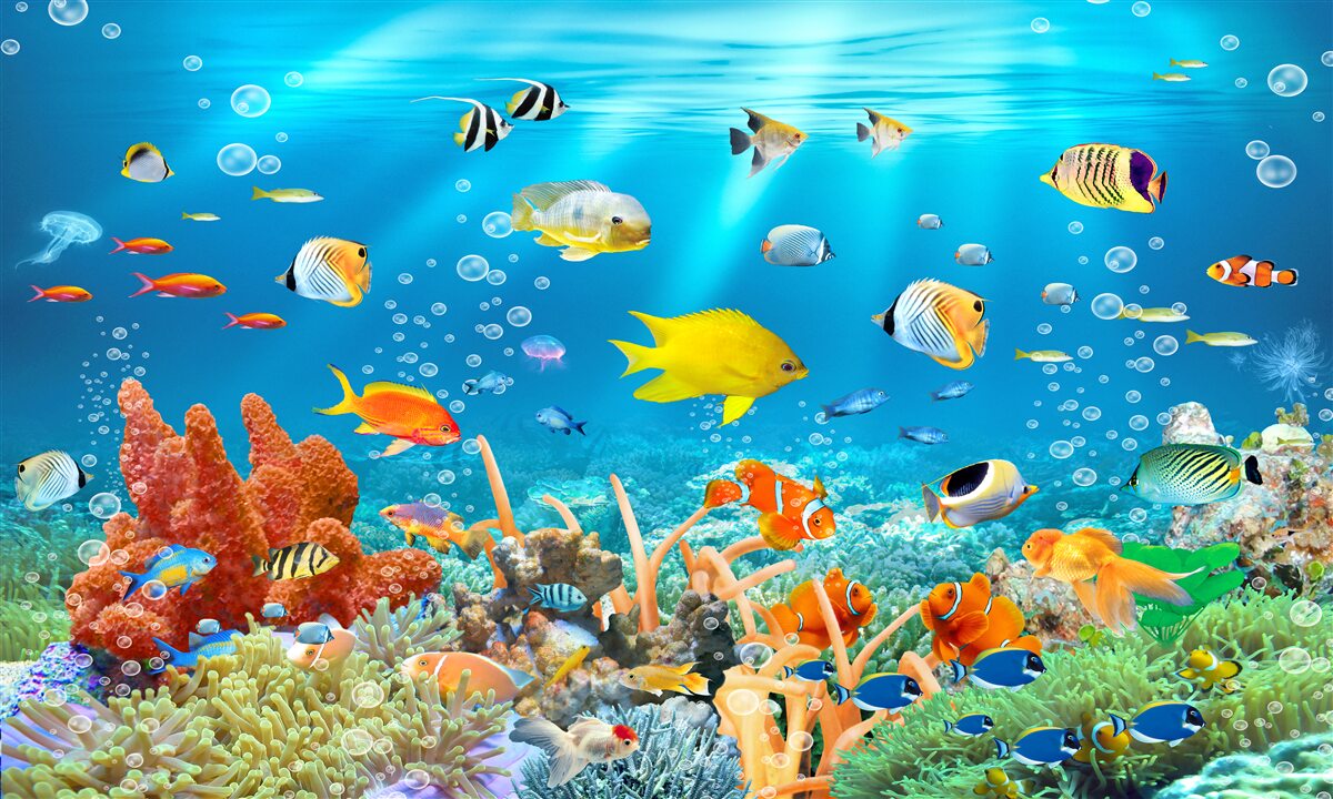 Carta da parati diversità dei pesci sott'acqua