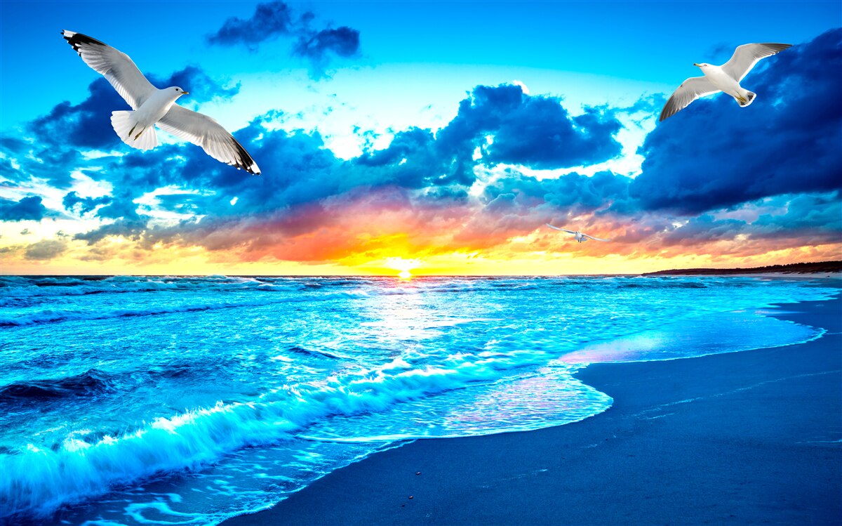 Carta da parati tramonto sul mare e gabbiani sognanti