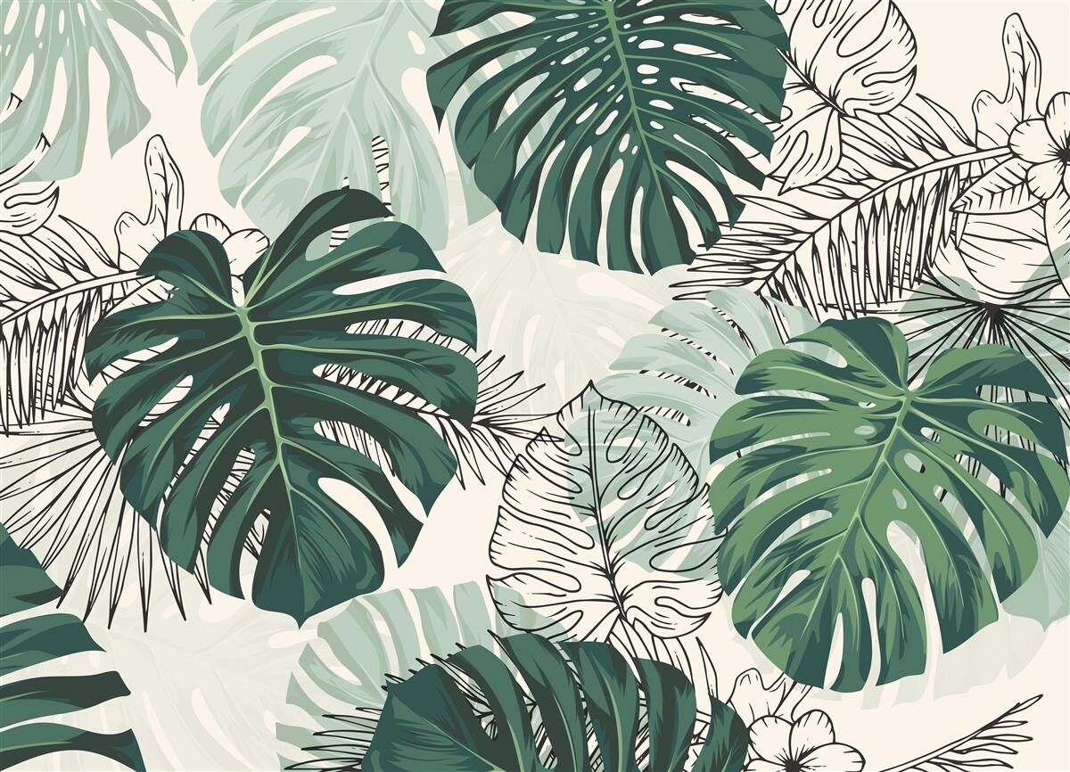 Carta da parati le foglie della monstera sono maestose