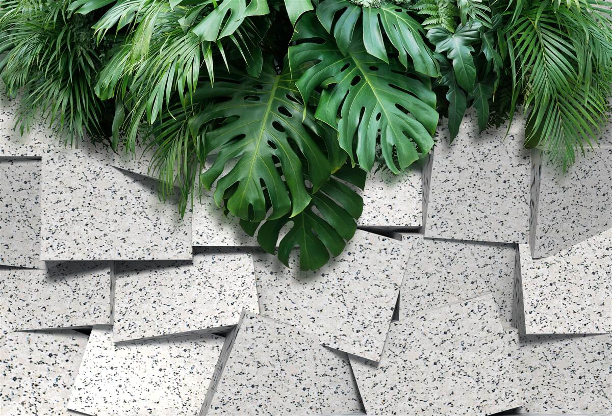 Carta da parati monstera in un'atmosfera tropicale su sfondo grigio