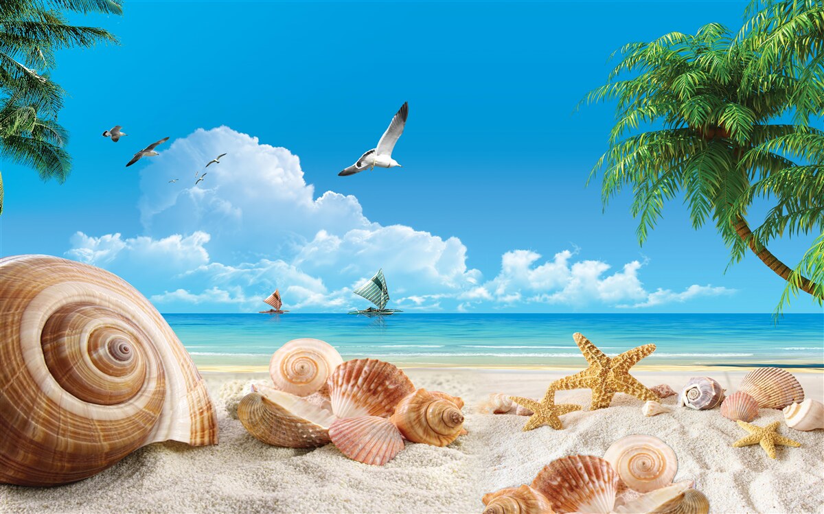 Carta da parati conchiglie in riva al mare