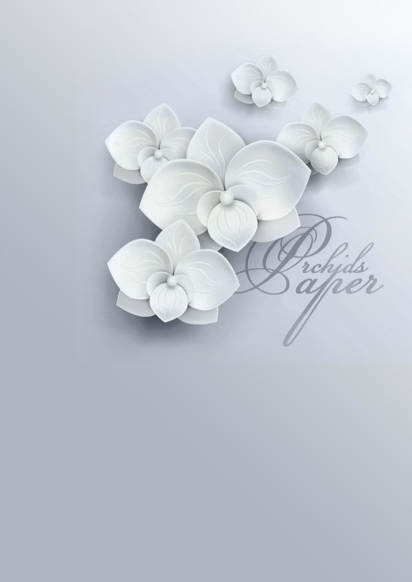 Carta da parati sfondo grigio decorato con orchidee bianche