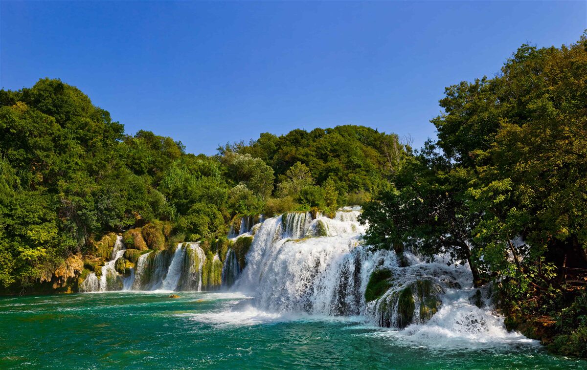 Carta da parati vista su sentieri forestali e cascate fragorose
