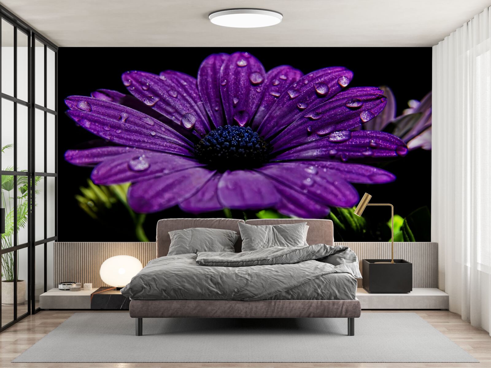Carta da parati gocce d'acqua su un fiore di gerbera viola
