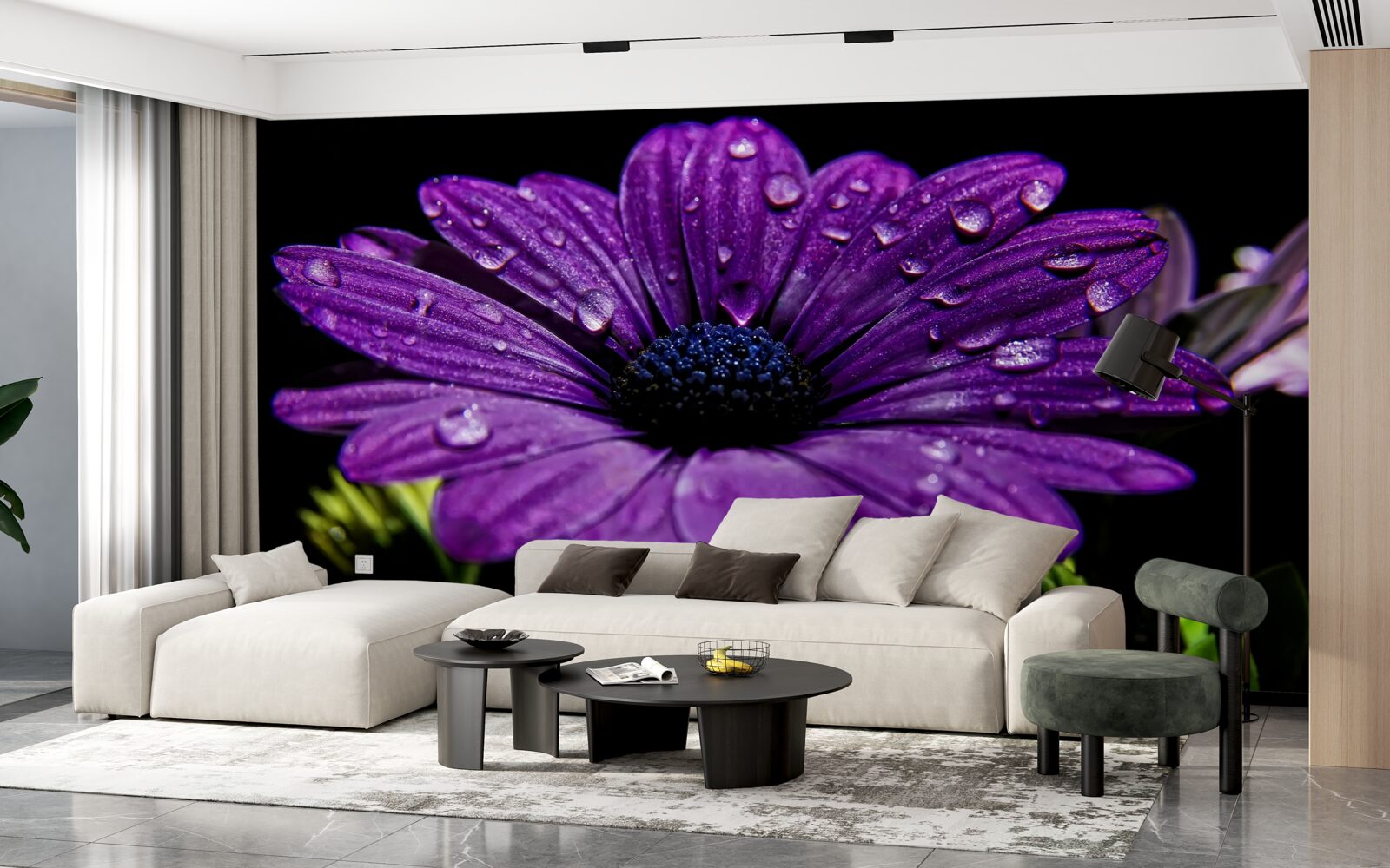 Carta da parati gocce d'acqua su un fiore di gerbera viola