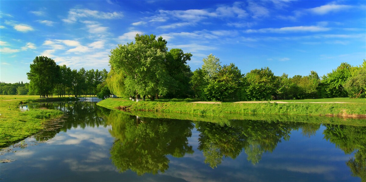 Carta da parati il fiume è circondato da alberi