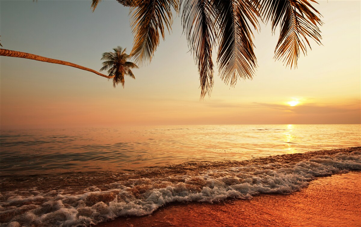 Carta da parati isola tropicale al tramonto