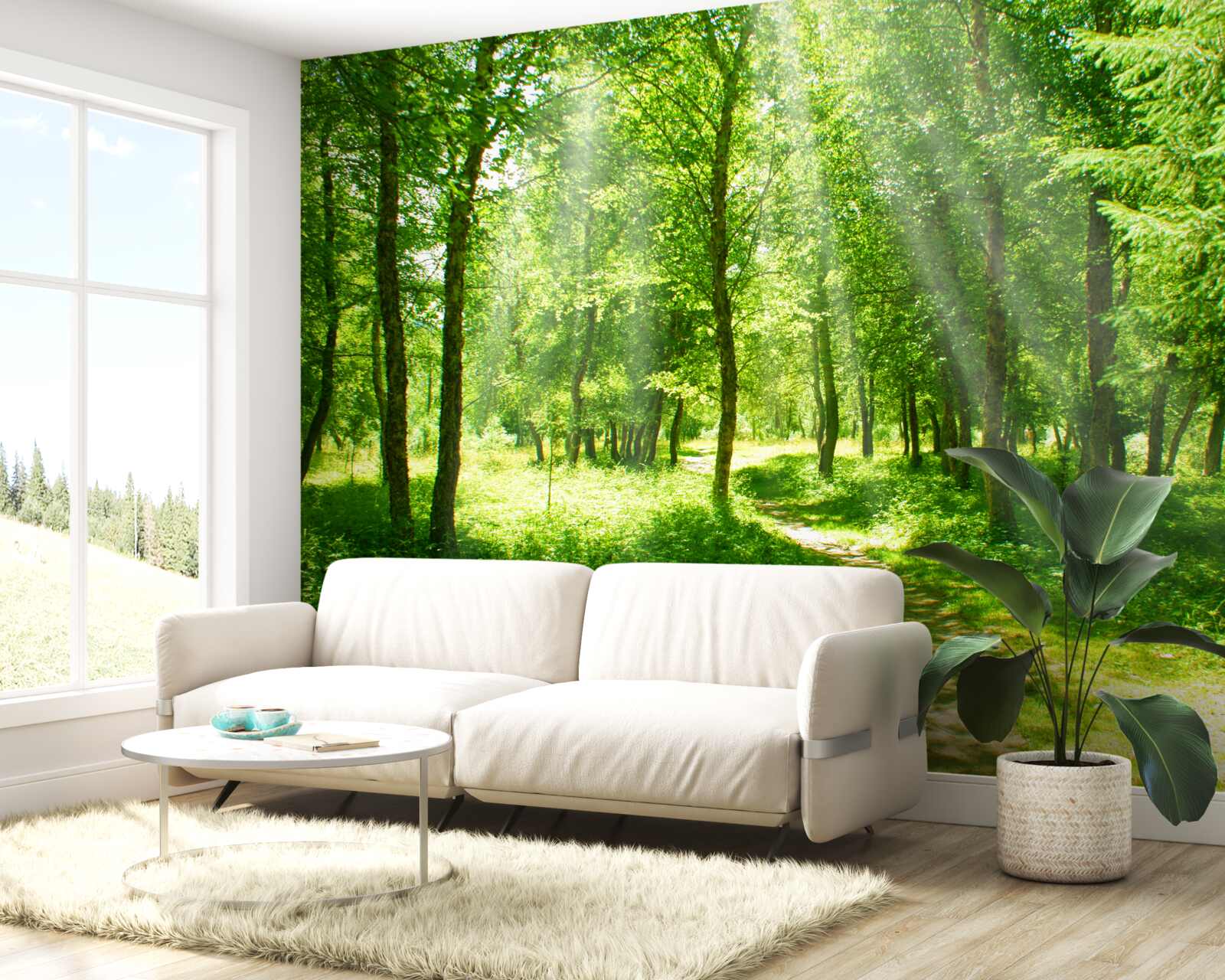 Carta da parati i raggi del sole risplendono attraverso le chiome degli alberi della foresta