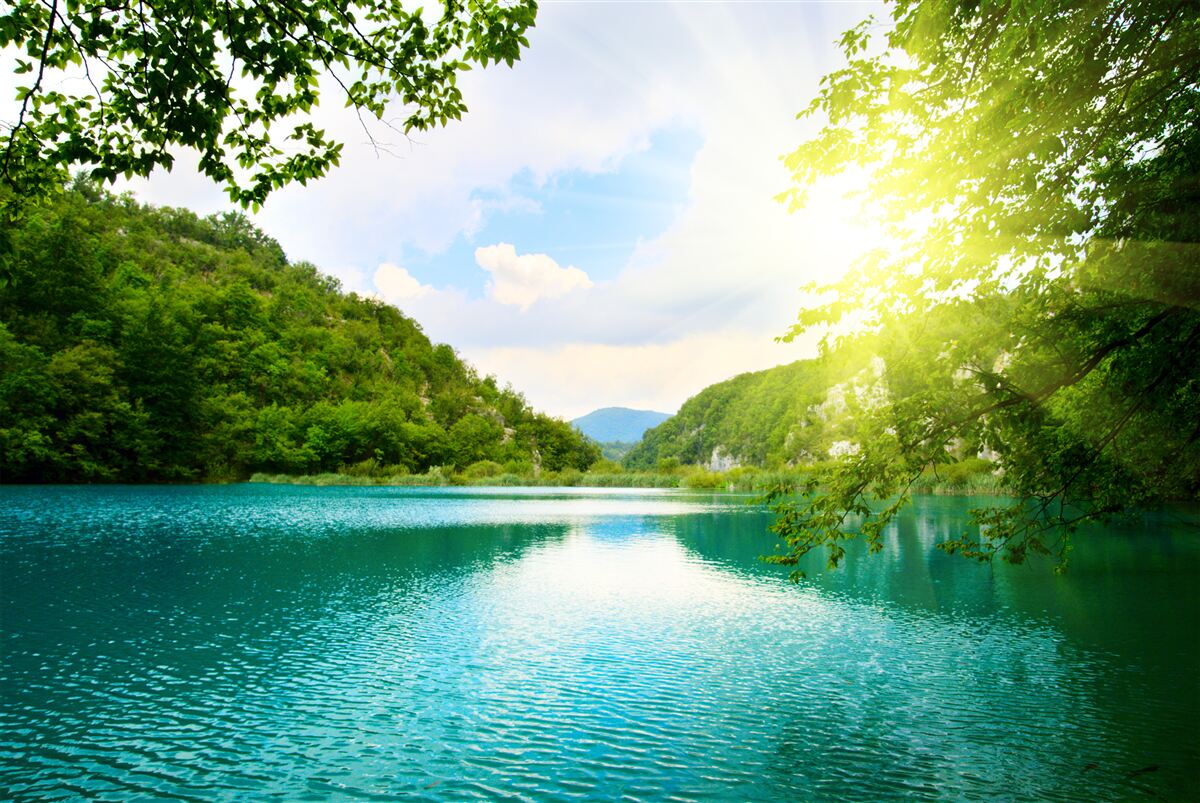 Carta da parati l'alba sulla superficie dell'acqua