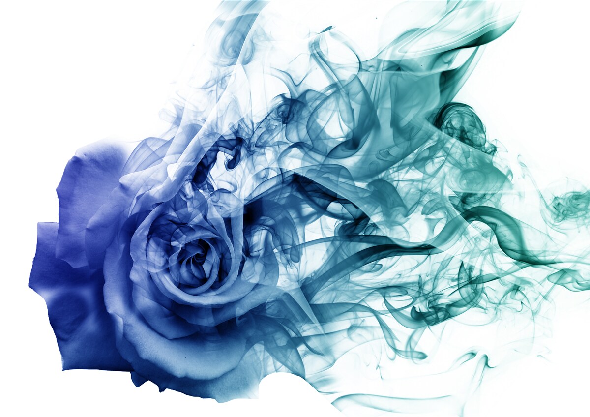 Carta da parati rosa blu in una nebbia di blu celeste