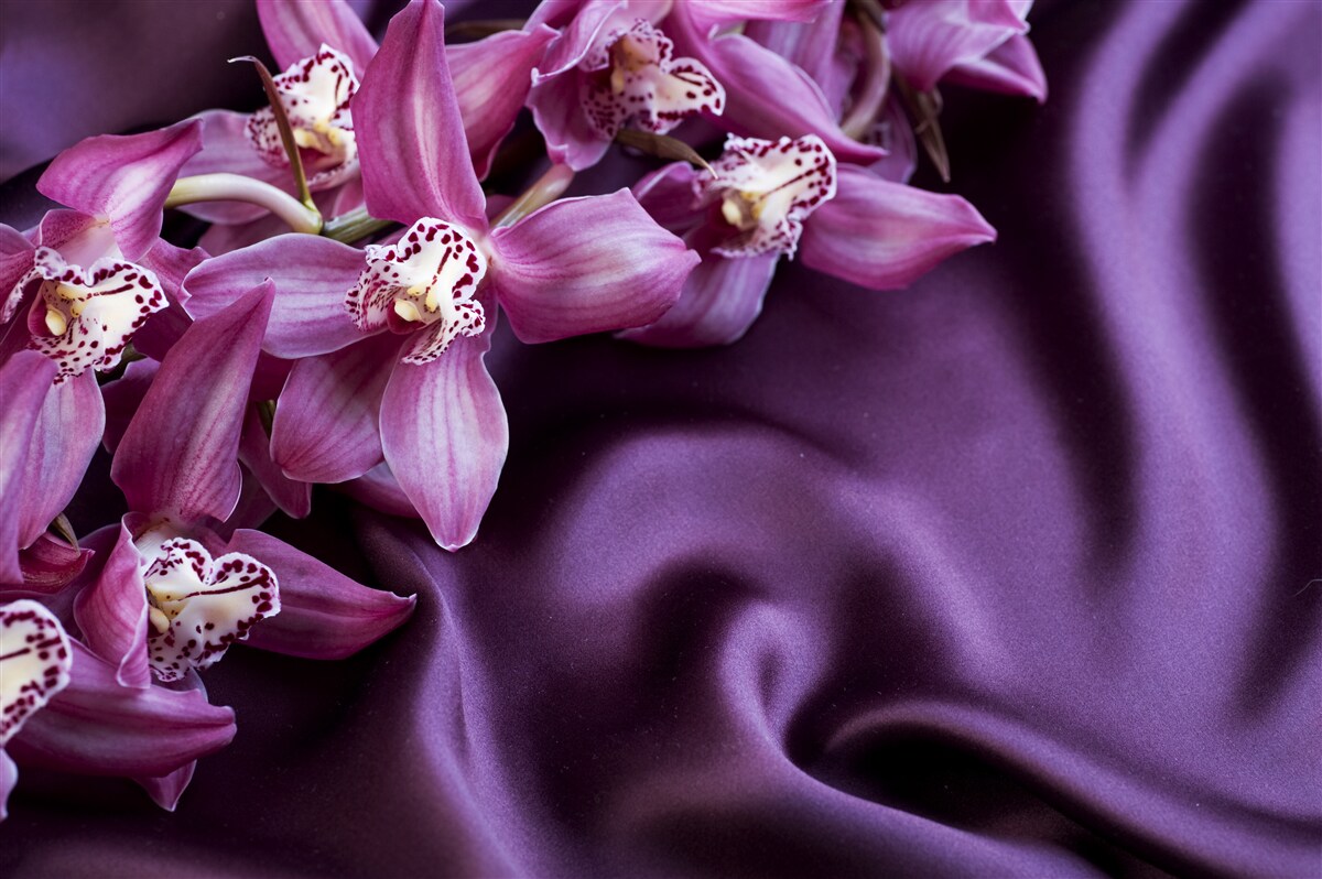 Carta da parati orchidee viola su raso della stessa tonalità