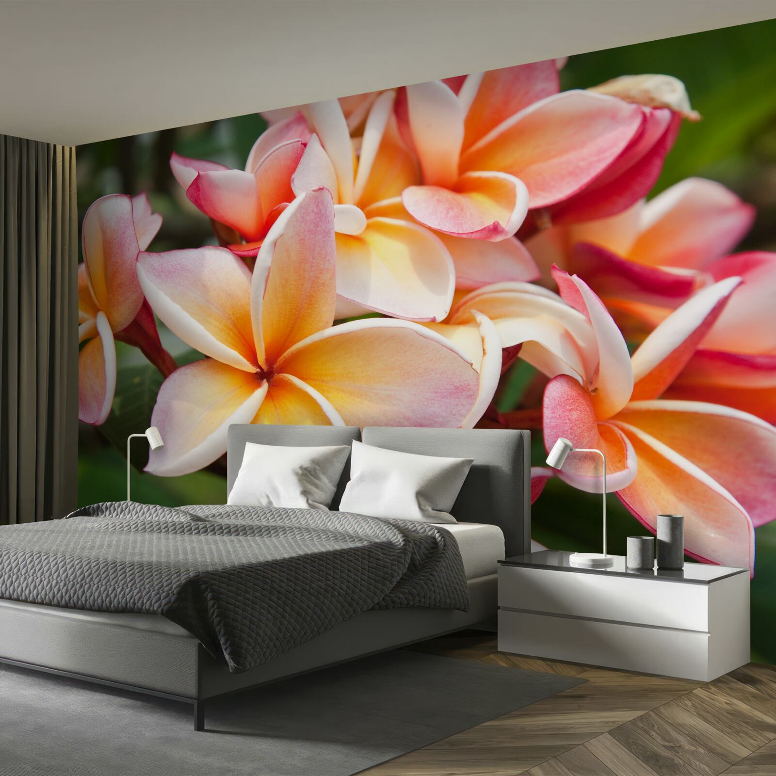 Carta da parati frangipani con fiori attraenti