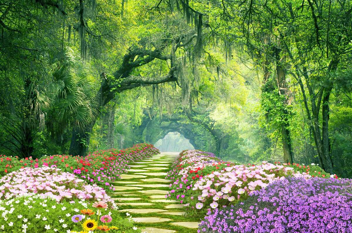 Carta da parati Un sentiero fiorito che conduce a un verde boschetto.