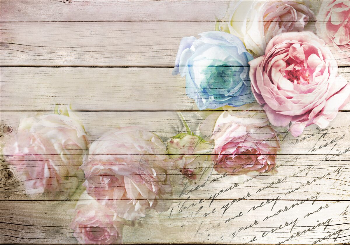 Carta da parati insieme di rose simili a peonie