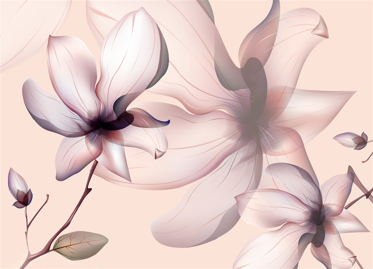 Carta da parati sfondo luminoso con magnolie