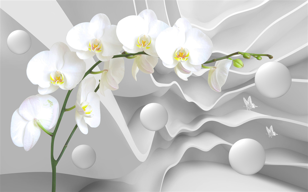 Carta da parati fiore di orchidea bianca su un ramo