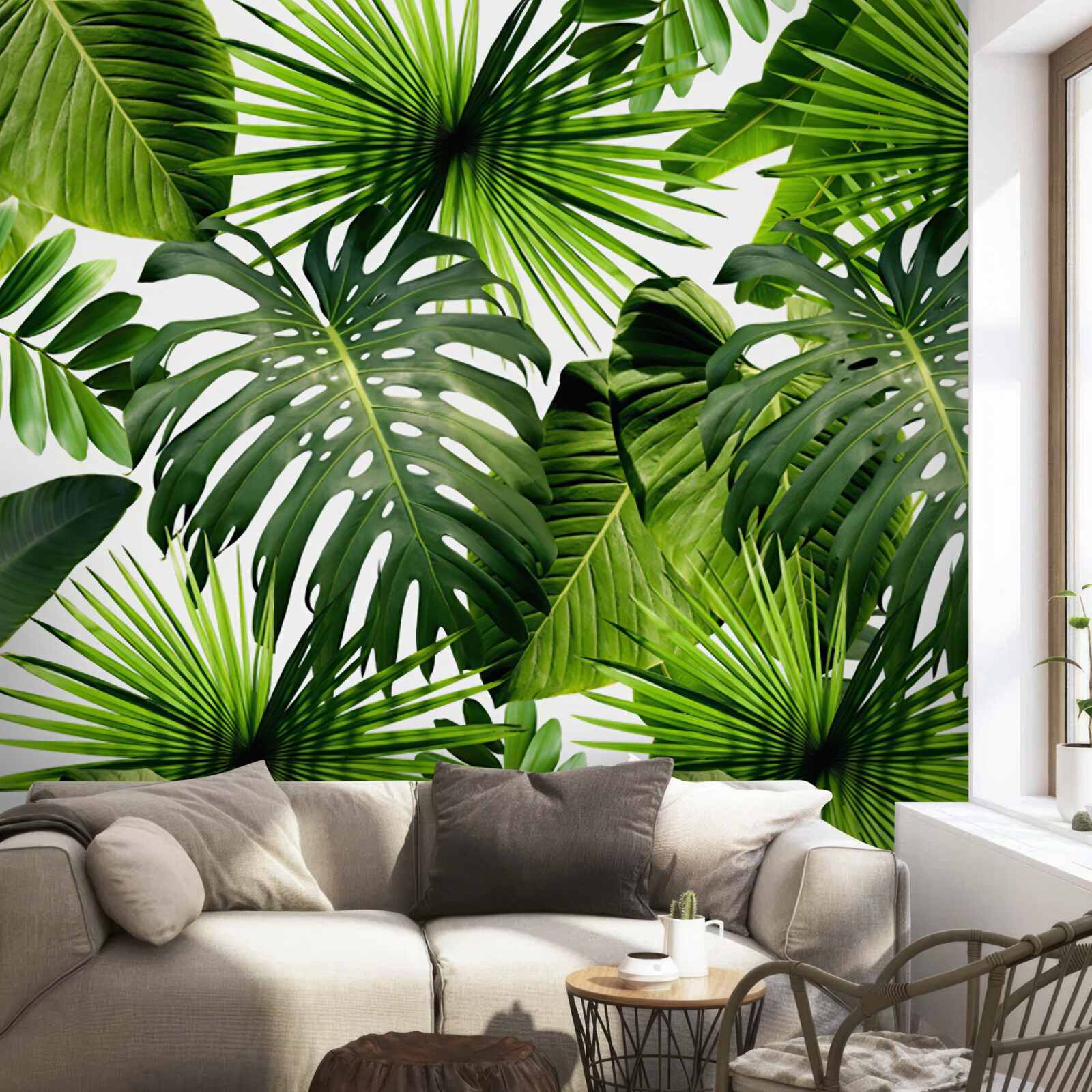 Carta da parati monstera e foglie di banano su sfondo bianco, con densità