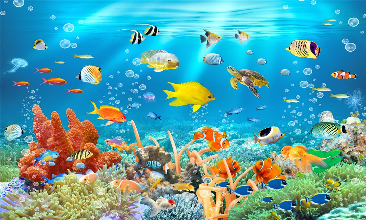 Carta da parati l'affascinante mondo sottomarino