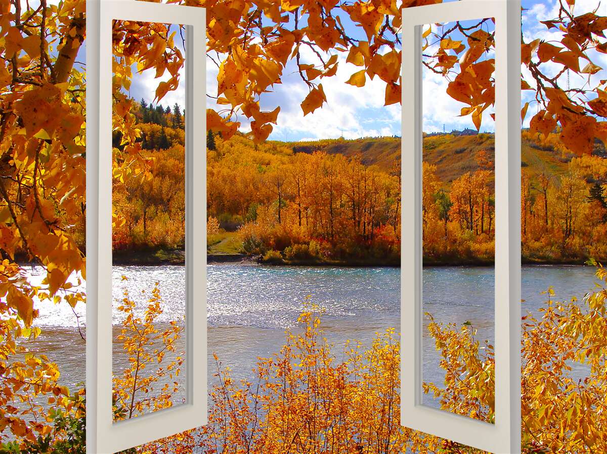 Carta da parati vista della foresta autunnale dalla finestra