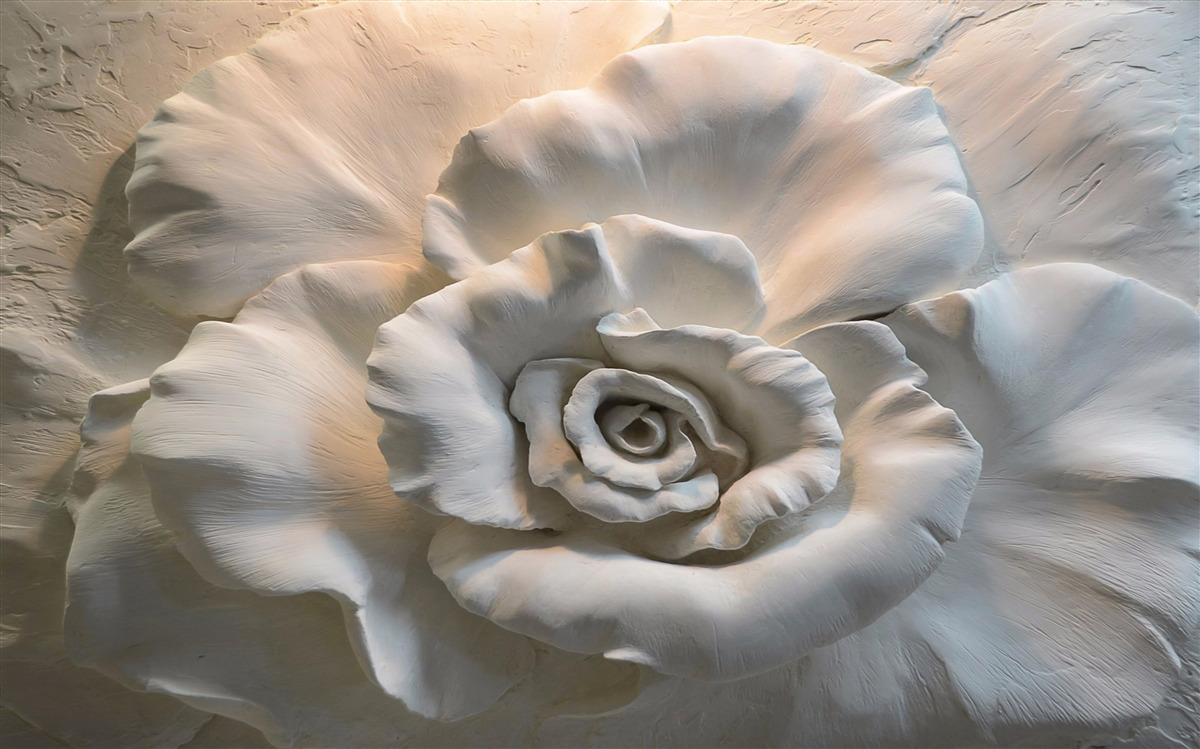 Carta da parati primo piano di un'enorme rosa bianca