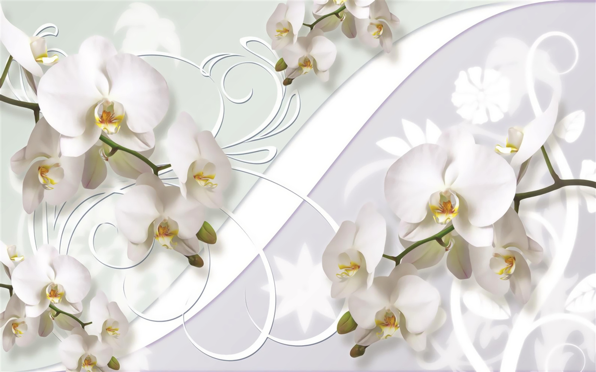 Carta da parati orchidee bianche su sfondo bianco