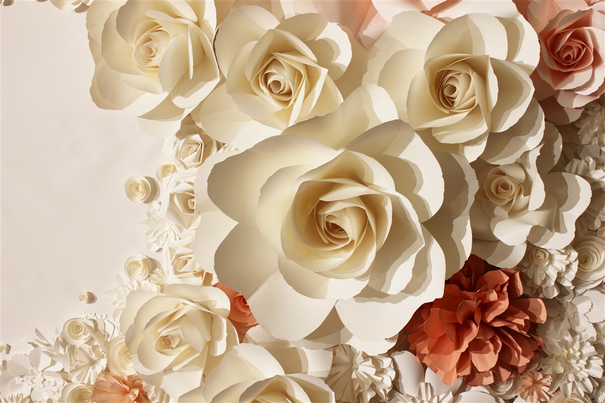 Carta da parati enormi rose bianche