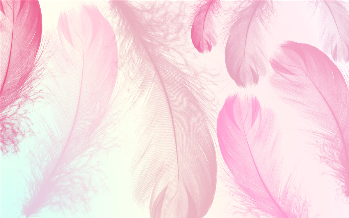 Carta da parati piume grandi con una delicata sfumatura rosa