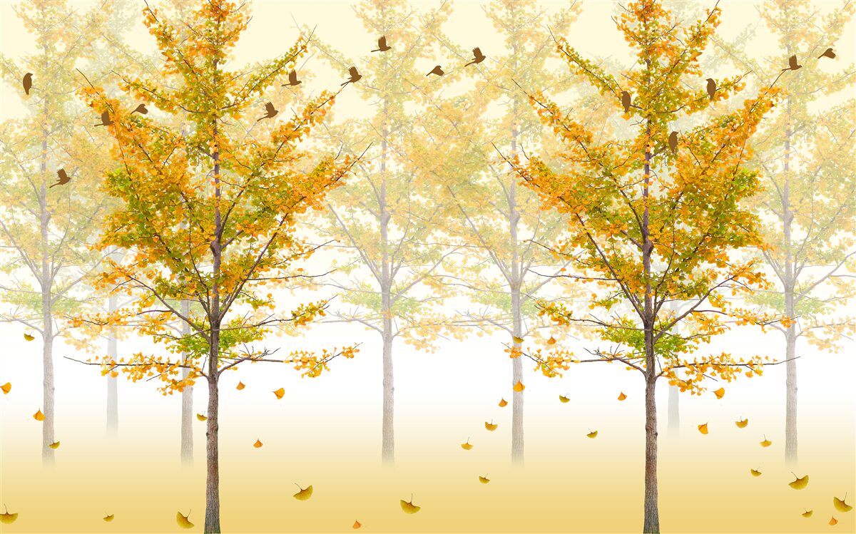 Carta da parati i colori dell'autunno in una foresta di latifoglie